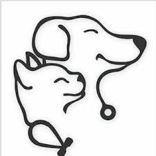 preclinical department