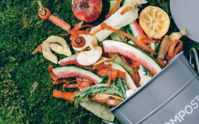 The 6 edition of the National Congress on Agri-food, Nutrition, and Sustainable Development th JAGRO 6-2025