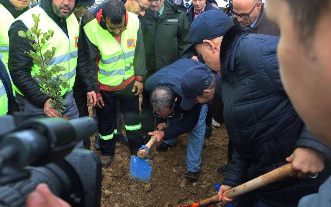 Blida 1 University at the heart of the national afforestation campaign.