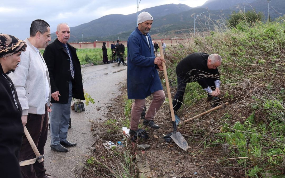 The Grand National Afforestation Campaign