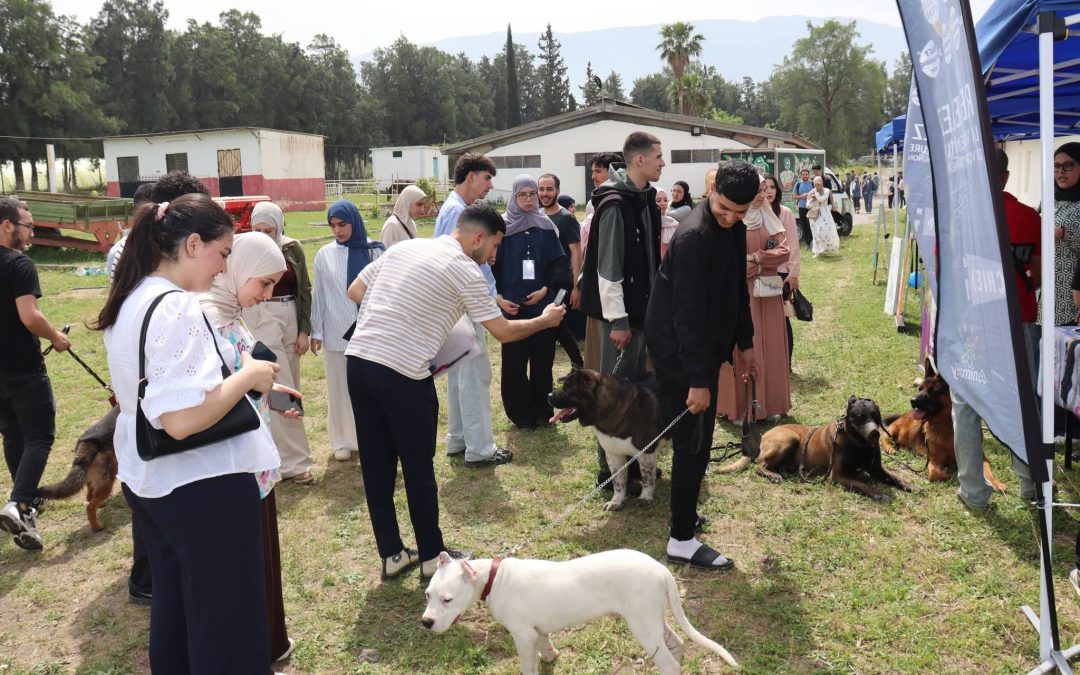  An exceptional day at the National Dog Show