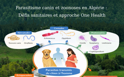 the 1st National Day of Veterinary Medicine
